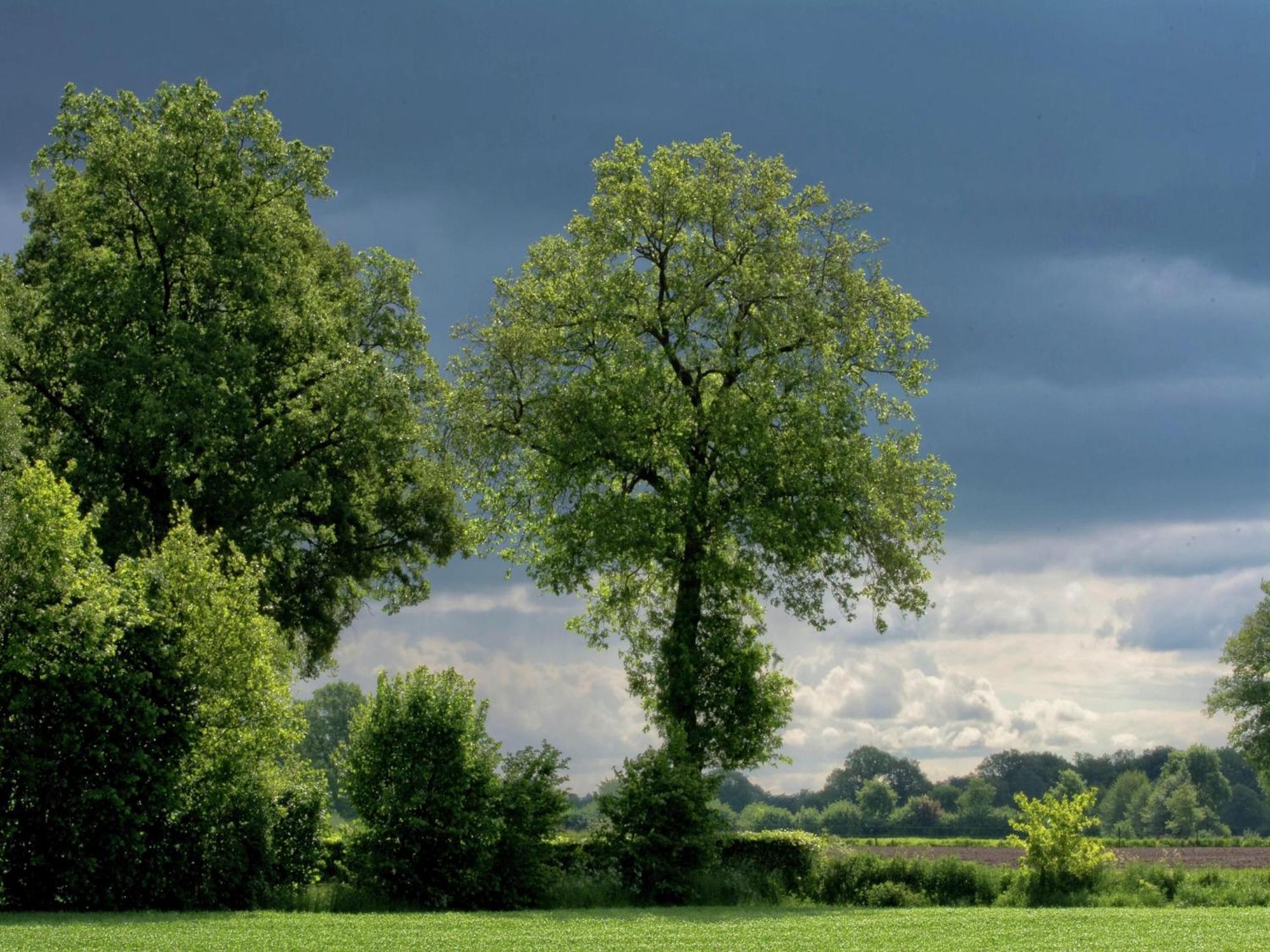Quaint Farmhouse In Geesteren With Meadow View Экстерьер фото
