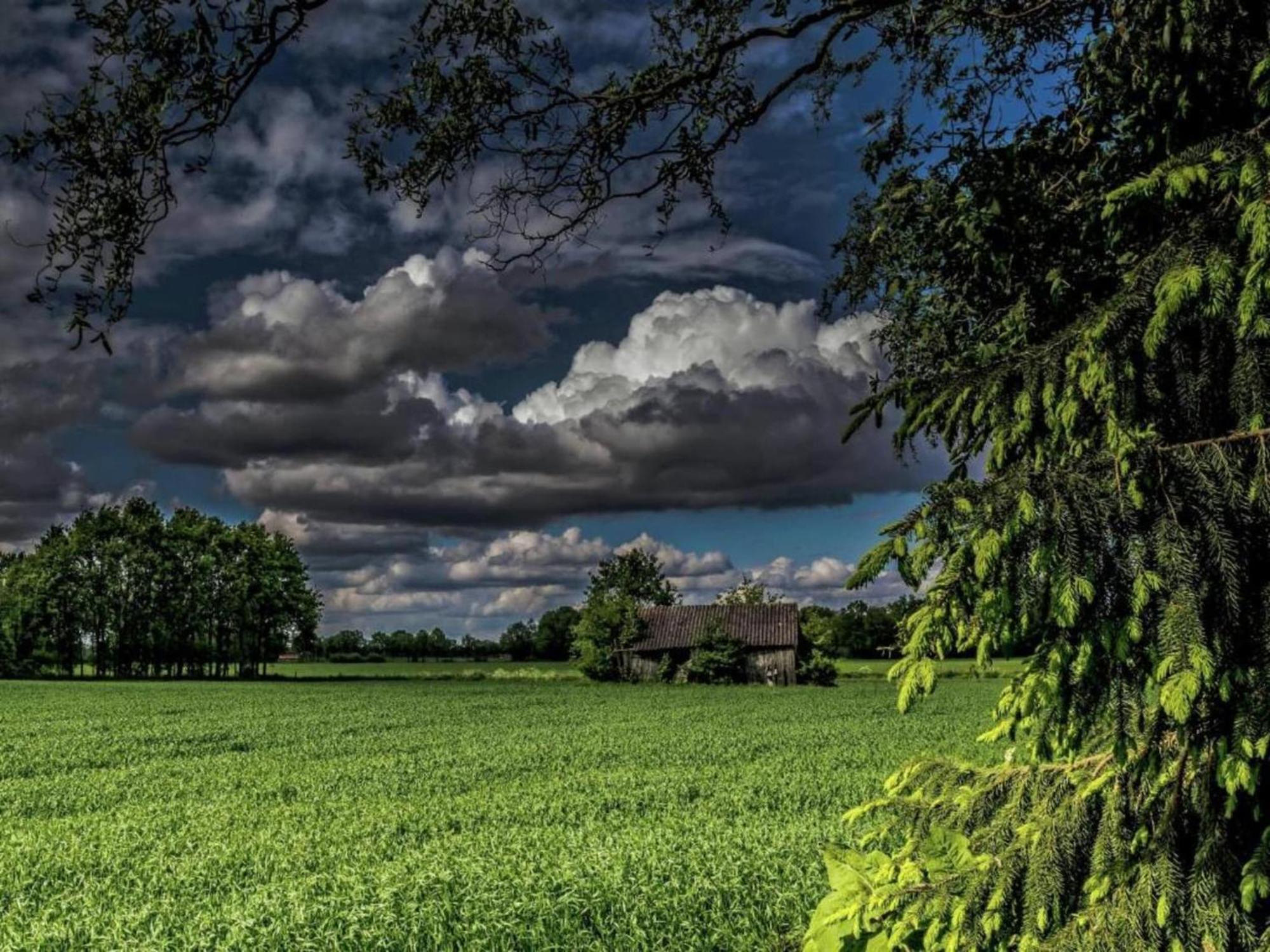 Quaint Farmhouse In Geesteren With Meadow View Экстерьер фото